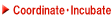 ������ЃG�[�P�[ �`�R�[�f�B�l�C�g�E�C���L���x�[�g�`